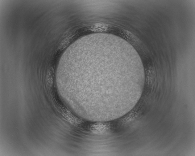 X0000056370370200509091655