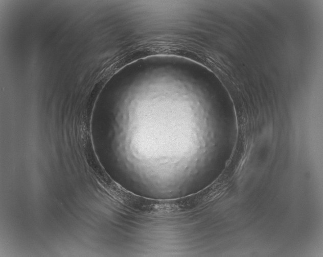 X0000056370371200509091655