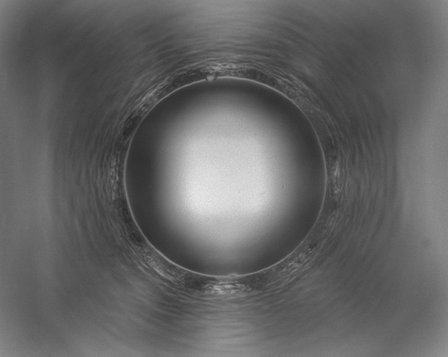 X0000056370372200509091655