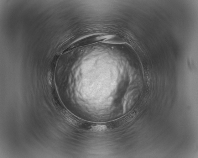 X0000056370374200509091655