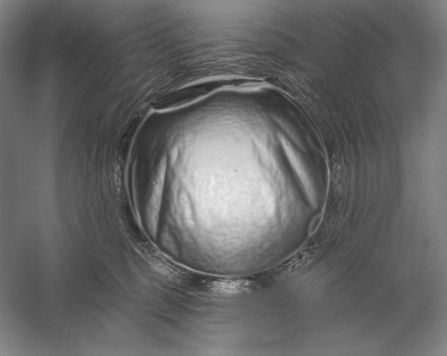 X0000056370375200509091655