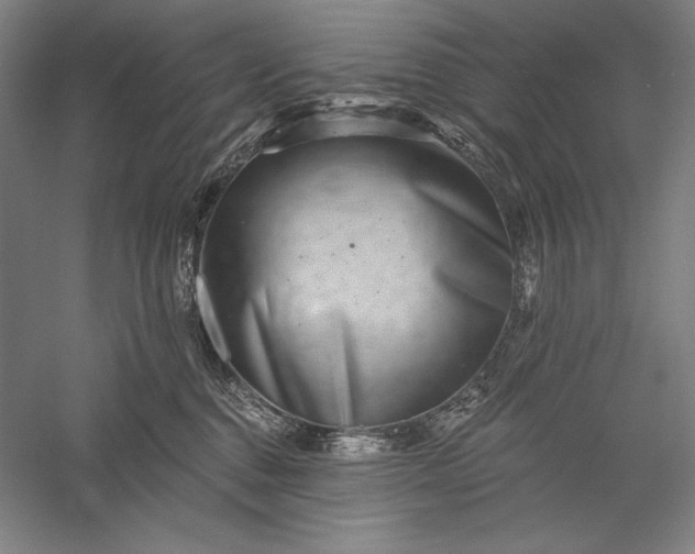 X0000056370376200509091655