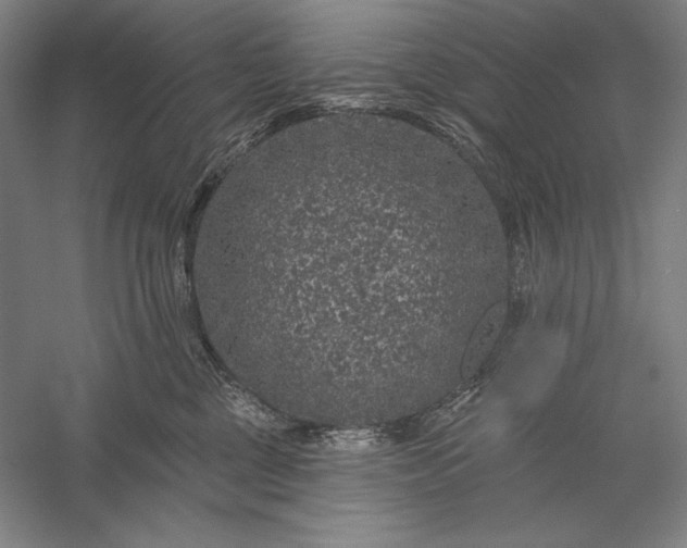 X0000056370377200509091655