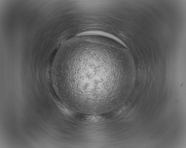 X0000056370379200509091655