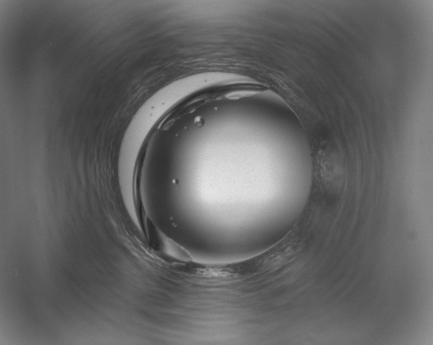 X0000056370380200509091655