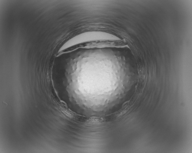 X0000056370381200509091655