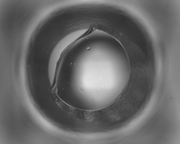 X0000056370382200509091655