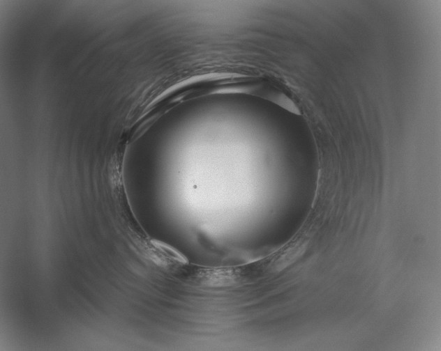 X0000056370384200509091655