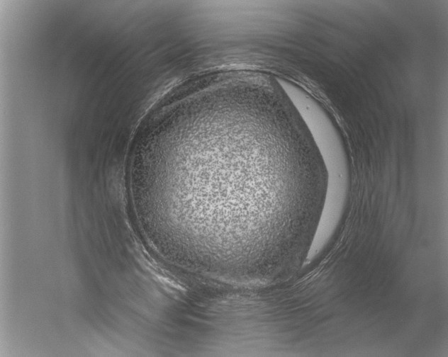 X0000056370386200509091654