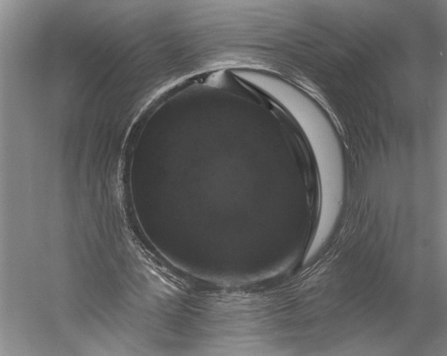 X0000056370387200509091654