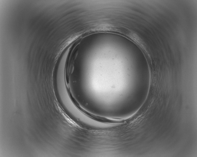 X0000056370389200509091654