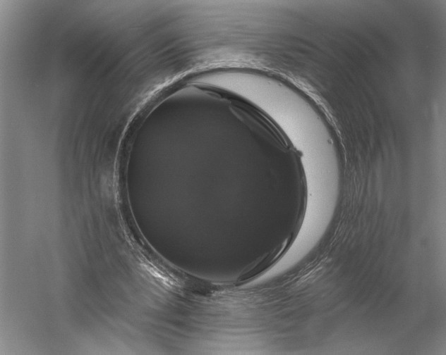 X0000056370391200509091654