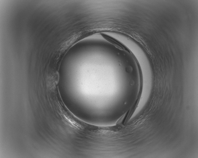 X0000056370393200509091654