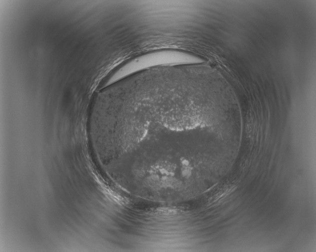 X0000056370394200509091654