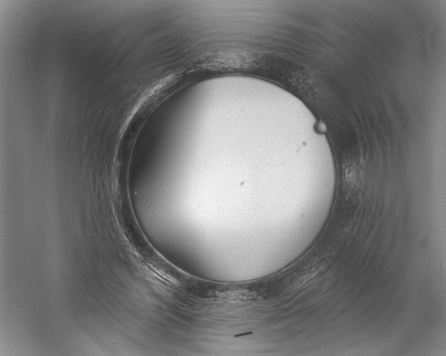 X0000056370396200509091654