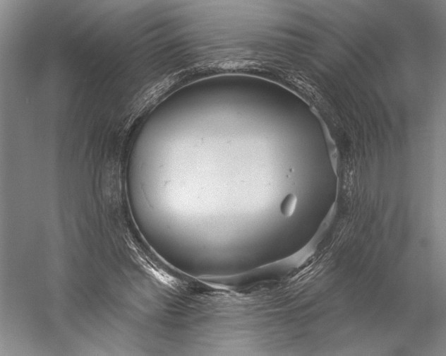 X0000056370397200509091654