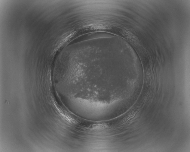 X0000056370398200509091654