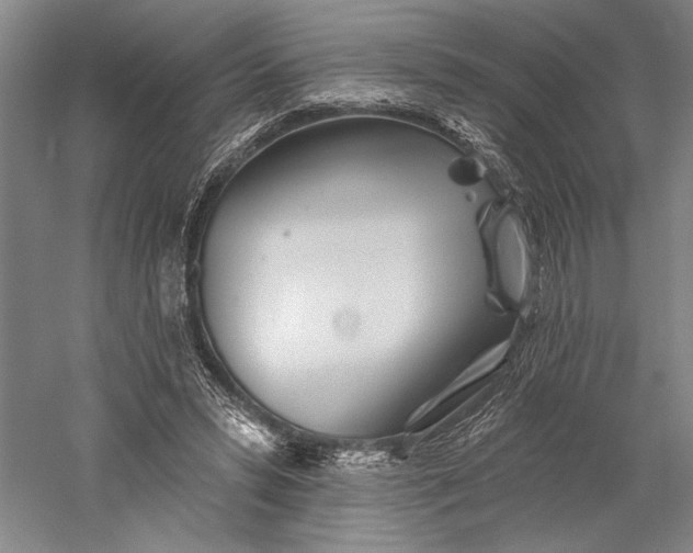 X0000056370399200509091654