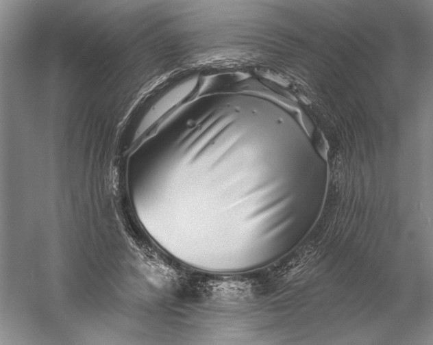 X0000056370400200509091654