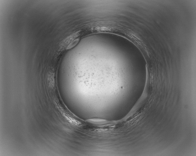 X0000056370401200509091654