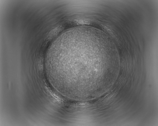 X0000056370402200509091654