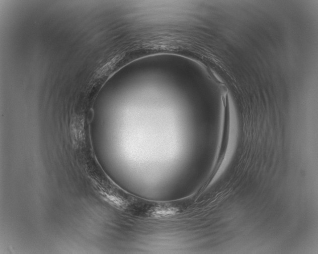 X0000056370403200509091654