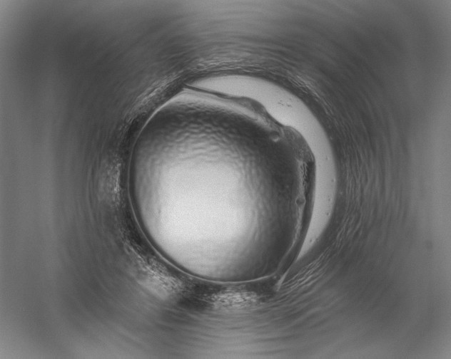 X0000056370404200509091654