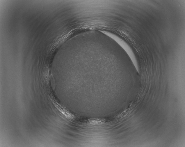 X0000056370405200509091654