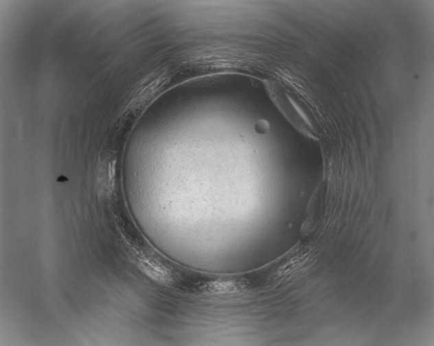 X0000056370406200509091654