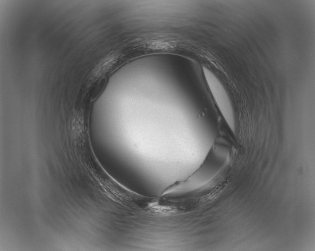 X0000056370407200509091654