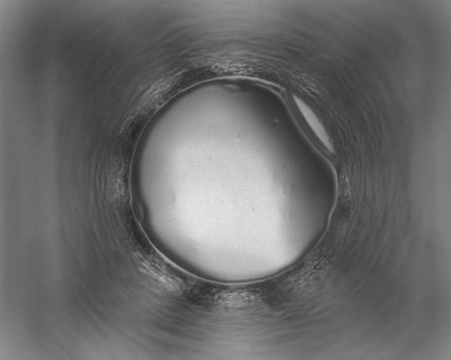 X0000056370408200509091654