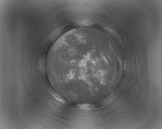 X0000056370409200509091654