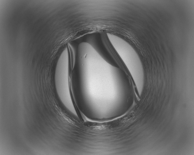 X0000056370411200509091654