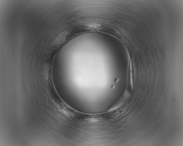 X0000056370412200509091654