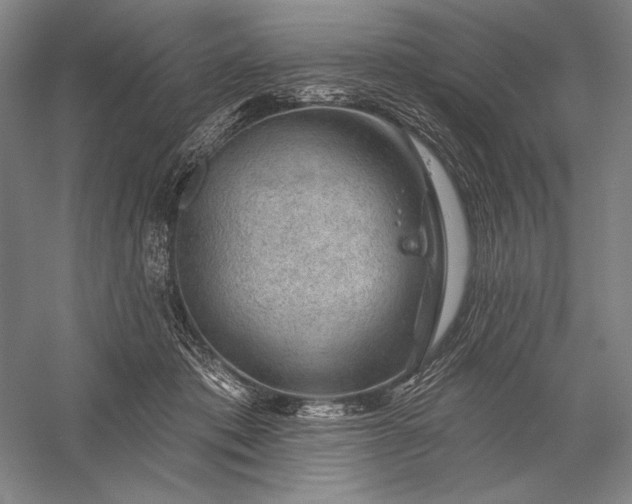 X0000056370413200509091654