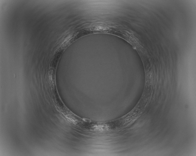 X0000056370415200509091654