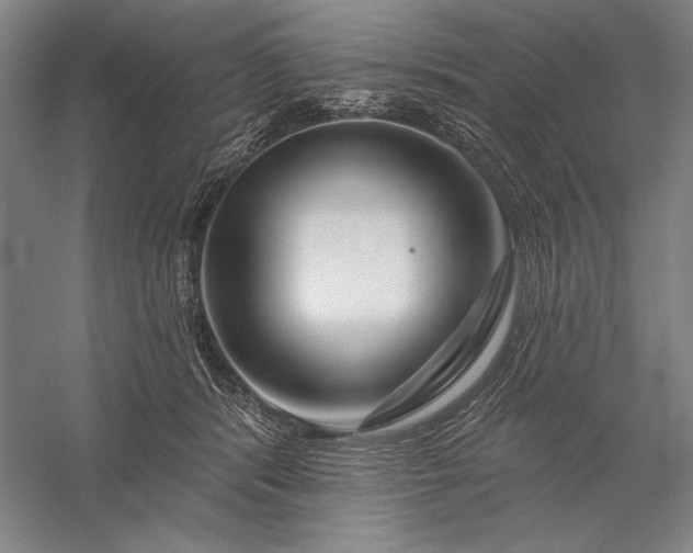 X0000056370416200509091654