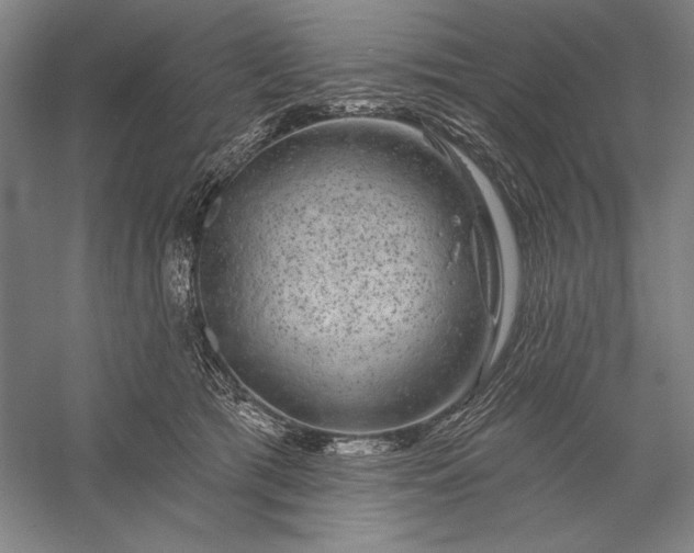 X0000056370417200509091654