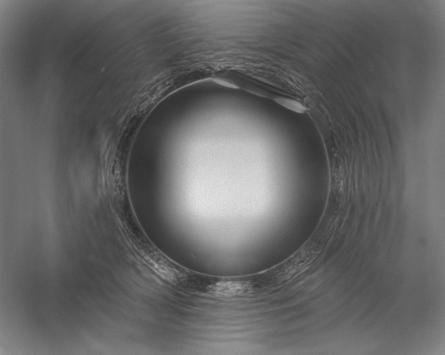 X0000056370418200509091654