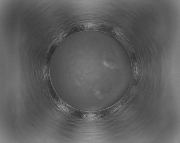 X0000056370419200509091654