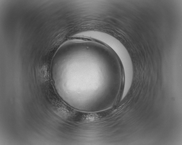 X0000056370420200509091654