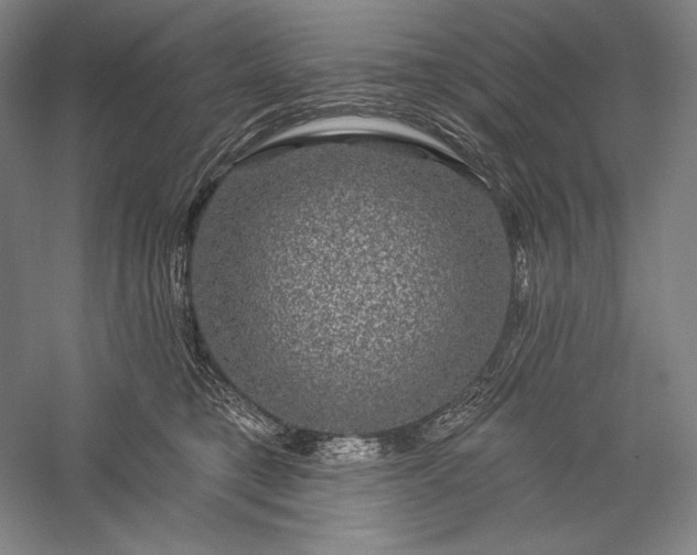 X0000056370421200509091654