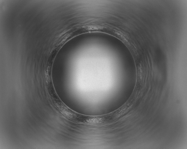 X0000056370422200509091654