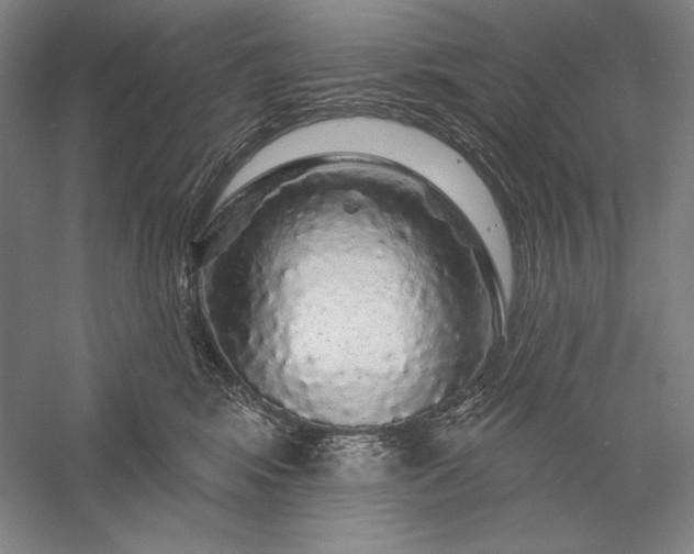 X0000056370424200509091654