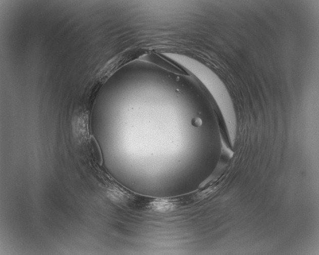 X0000056370425200509091654