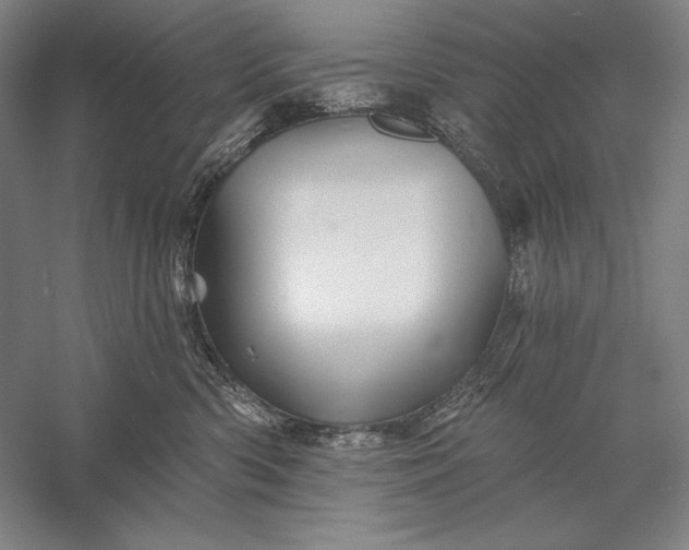 X0000056370426200509091654