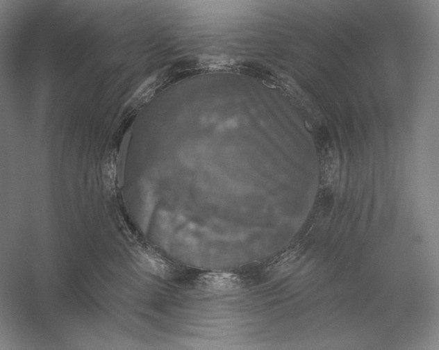 X0000056370427200509091654