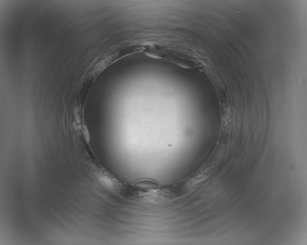 X0000056370430200509091654