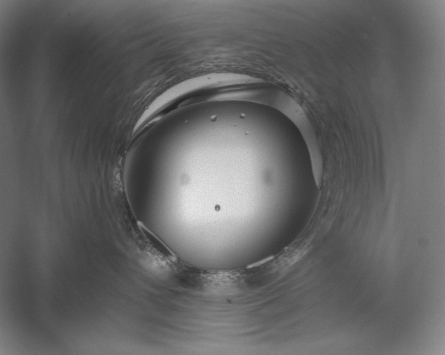 X0000056370432200509091654