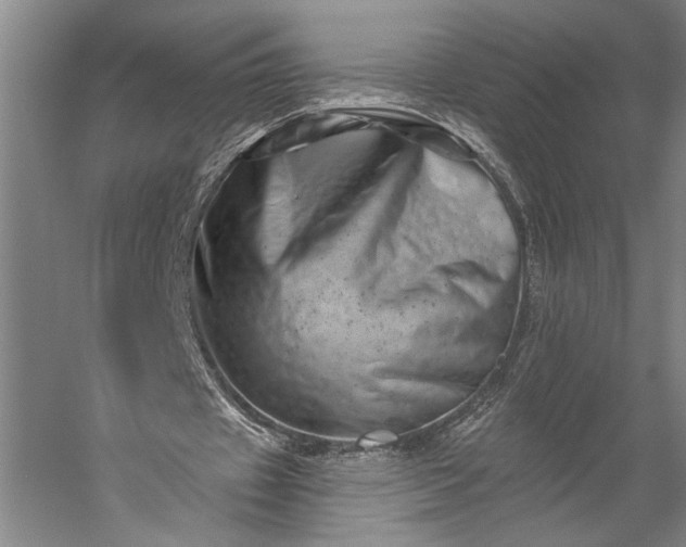 X0000056370433200509091653